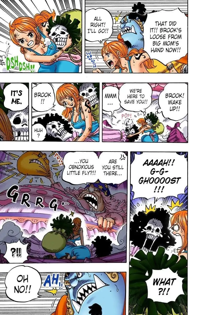 One Piece Digital Colored Chapter 855 image 10
